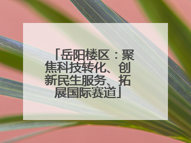 岳阳楼区：聚焦科技转化、创新民生服务、拓展国际赛道